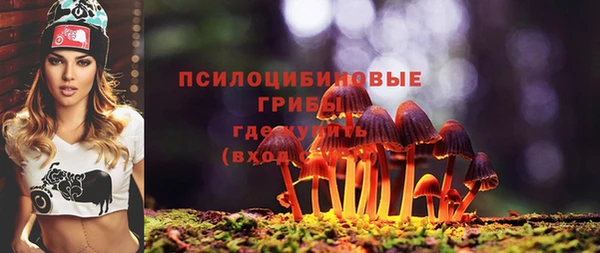 соль ск Абинск